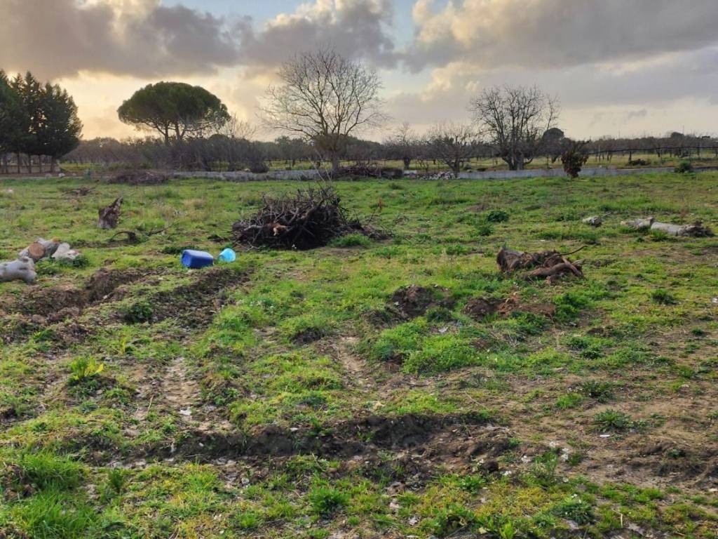 Terreno a Acquaviva delle fonti in Strada Vicinale Renzo Piano - Foto 3