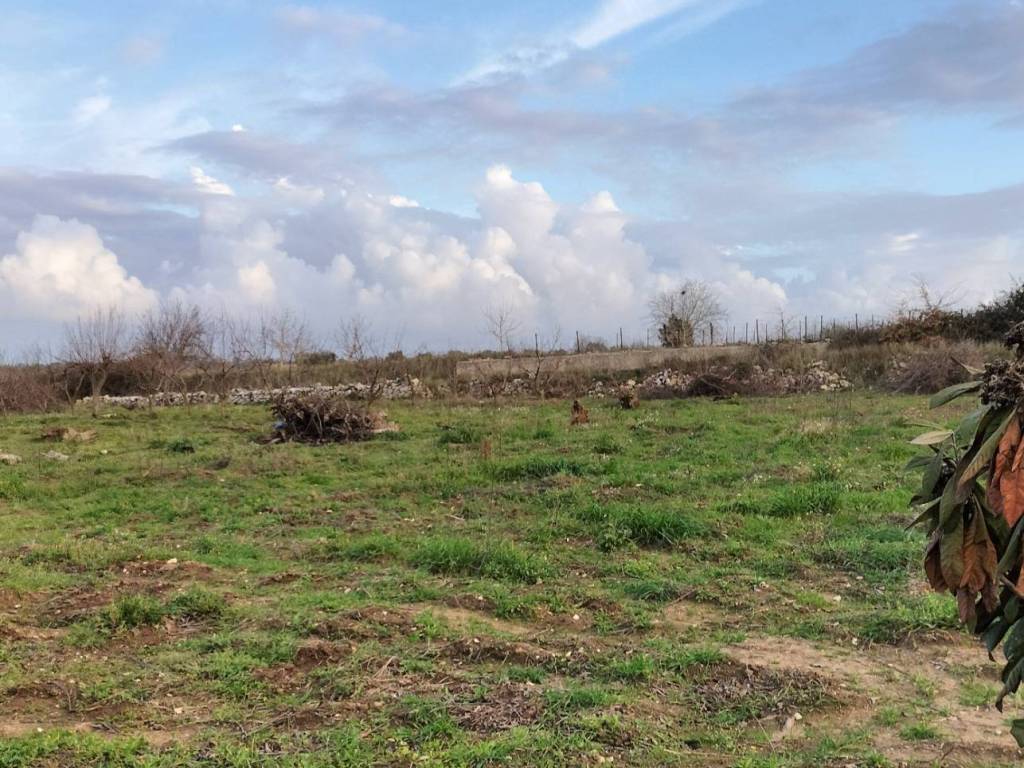 Terreno a Acquaviva delle fonti in Strada Vicinale Renzo Piano - Foto 5