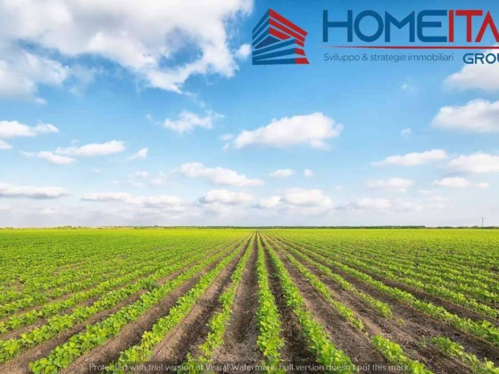 Terreno a Trapani in Via Giuseppe Osorio - Foto 2