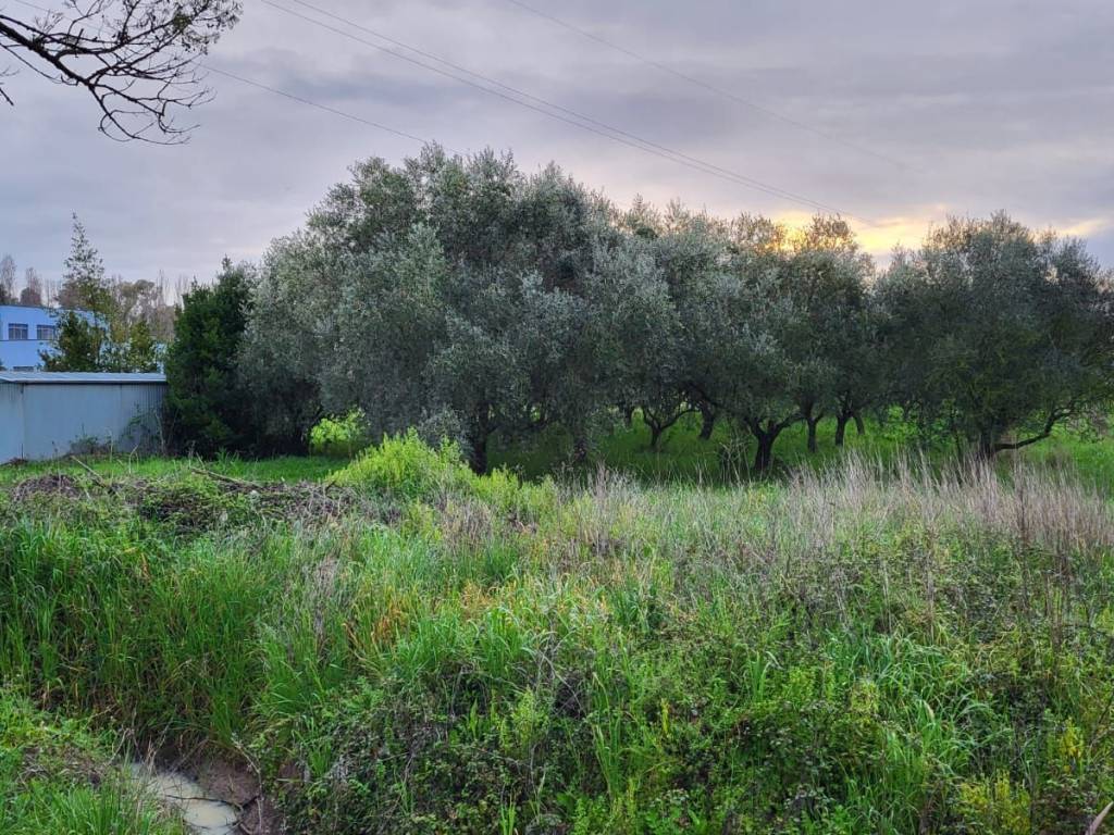 Terreno a Cisterna di latina - Foto 2