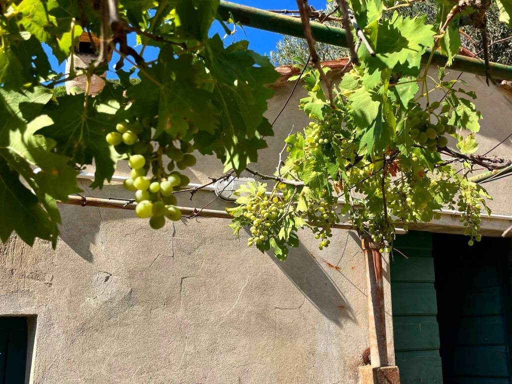 Appartamento a Monte argentario in Località Pispino - Foto 3