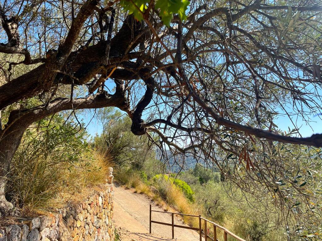 Appartamento a Monte argentario in Località Pispino - Foto 4