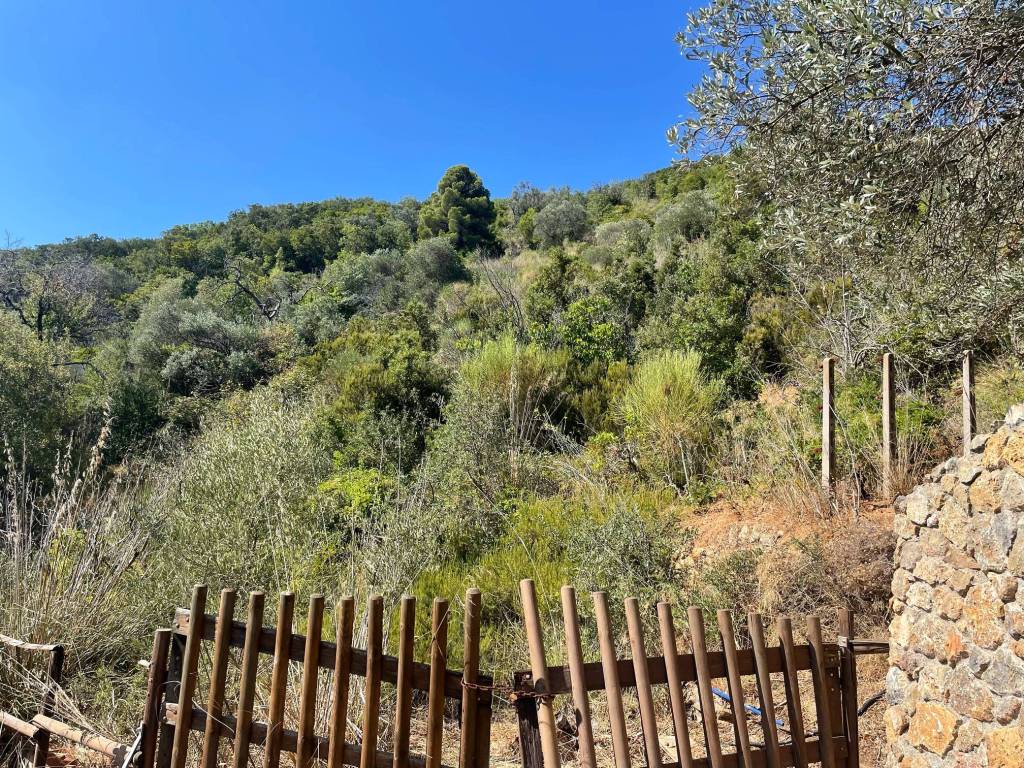Appartamento a Monte argentario in Località Pispino - Foto 5