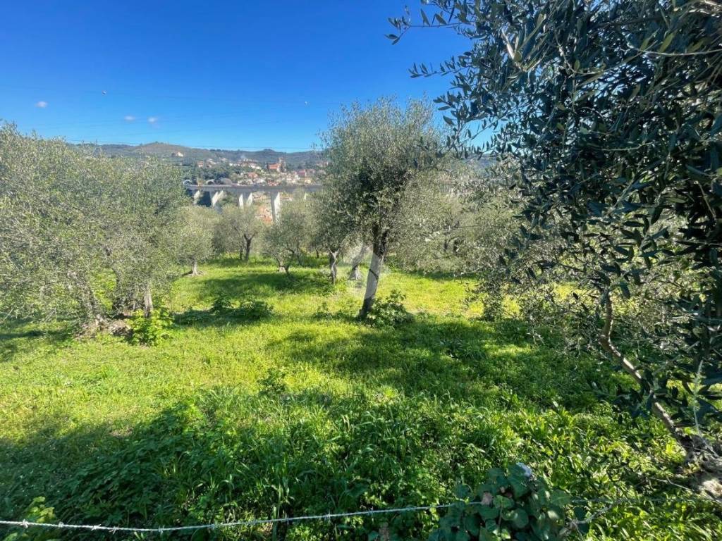 Terreno a Imperia in Strada dei francesi - Foto 4