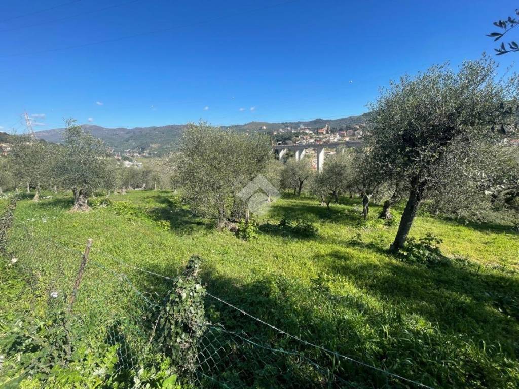 Terreno a Imperia in Strada dei francesi - Foto 5