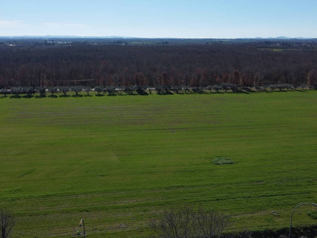 Terreno a Magliano sabina in Autostrada del Sole - Foto 4