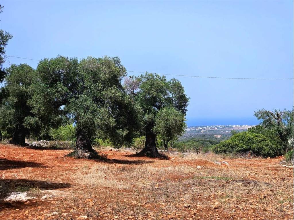 Terreno a Carovigno - Foto 2
