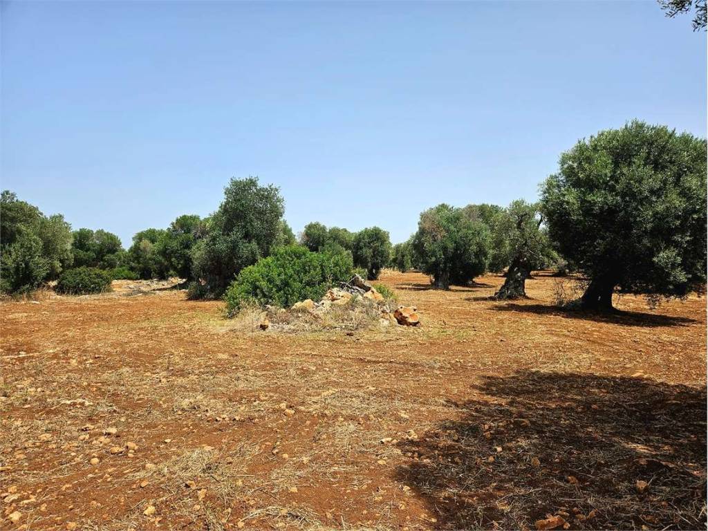 Terreno a Carovigno - Foto 5