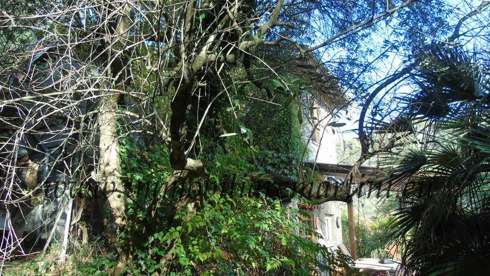 Rustico / casale a Apricale in campagne - Foto 4