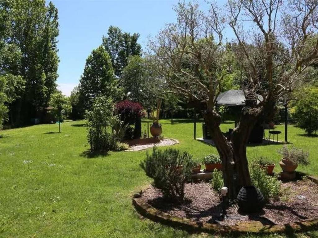 Rustico / casale a Treviso in Via Giovanni Comisso - Foto 3