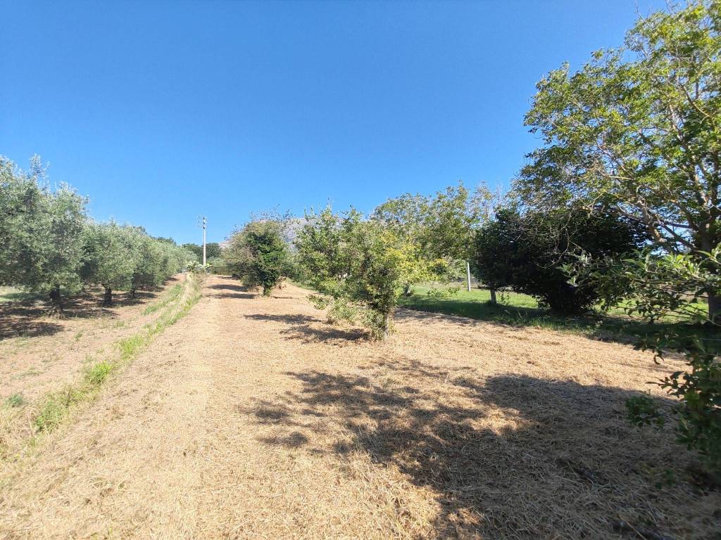 Terreno a Spigno saturnia in Via Capodacqua, 84 - Foto 3
