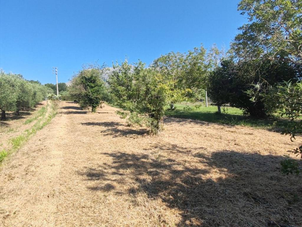 Terreno a Spigno saturnia in Via Capodacqua, 84 - Foto 4