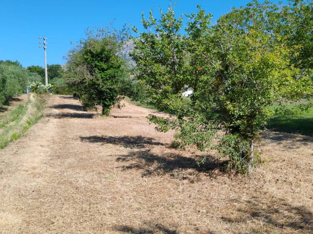 Terreno a Spigno saturnia in Via Capodacqua, 84 - Foto 5