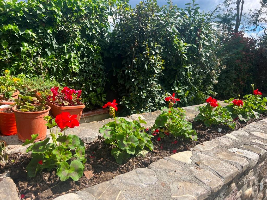 Casa indipendente a Anghiari - Foto 4