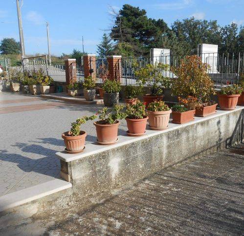 Appartamento a Montemiletto in Frazione Montaperto - Foto 3