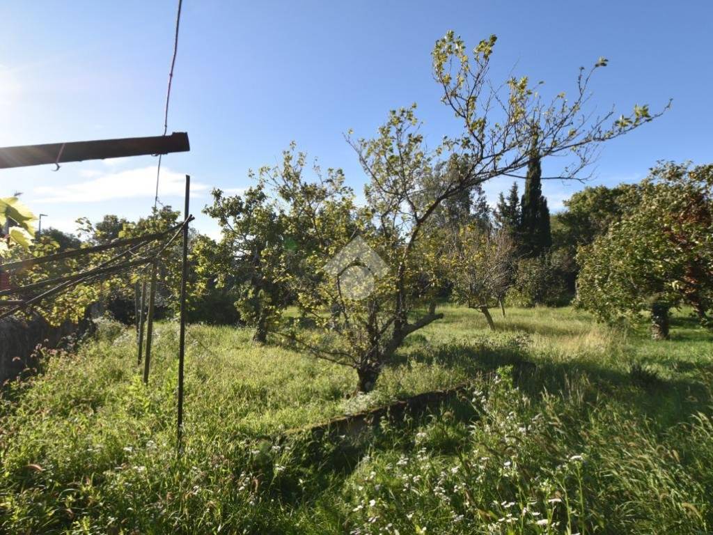 Terreno a Trieste in Santa Croce, 335 - Foto 2