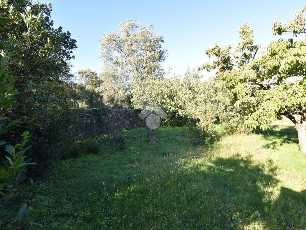 Terreno a Trieste in Santa Croce, 335 - Foto 4