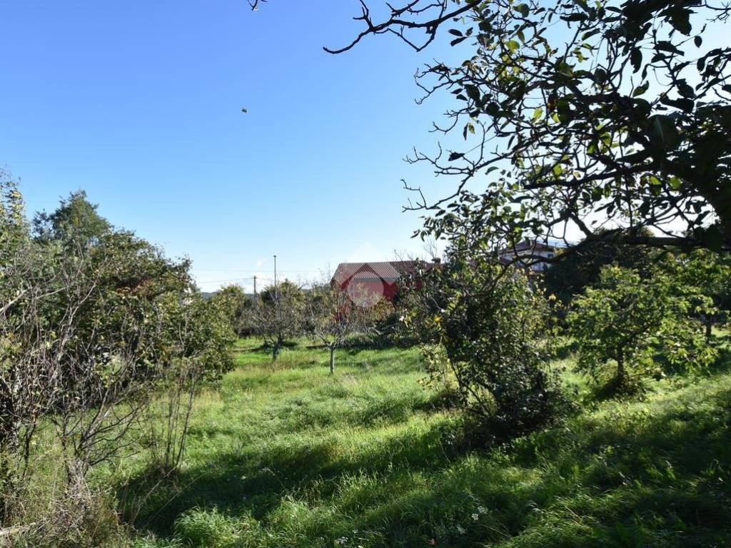 Terreno a Trieste in Santa Croce, 335 - Foto 5