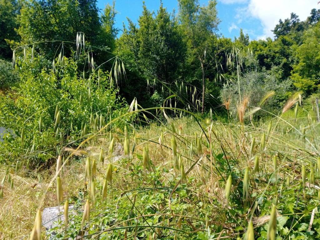 Appartamento a San giovanni incarico in Via Civita Farnese - Foto 3
