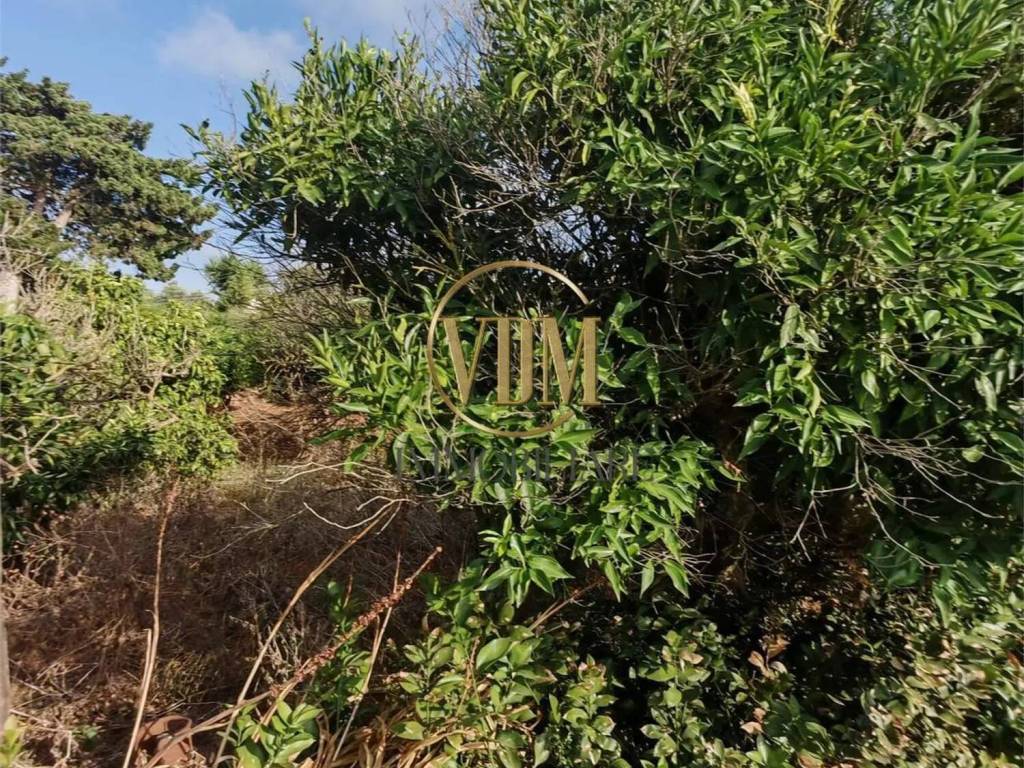 Rustico / casale a Marsala in Contrada Ranna No Number - Foto 3