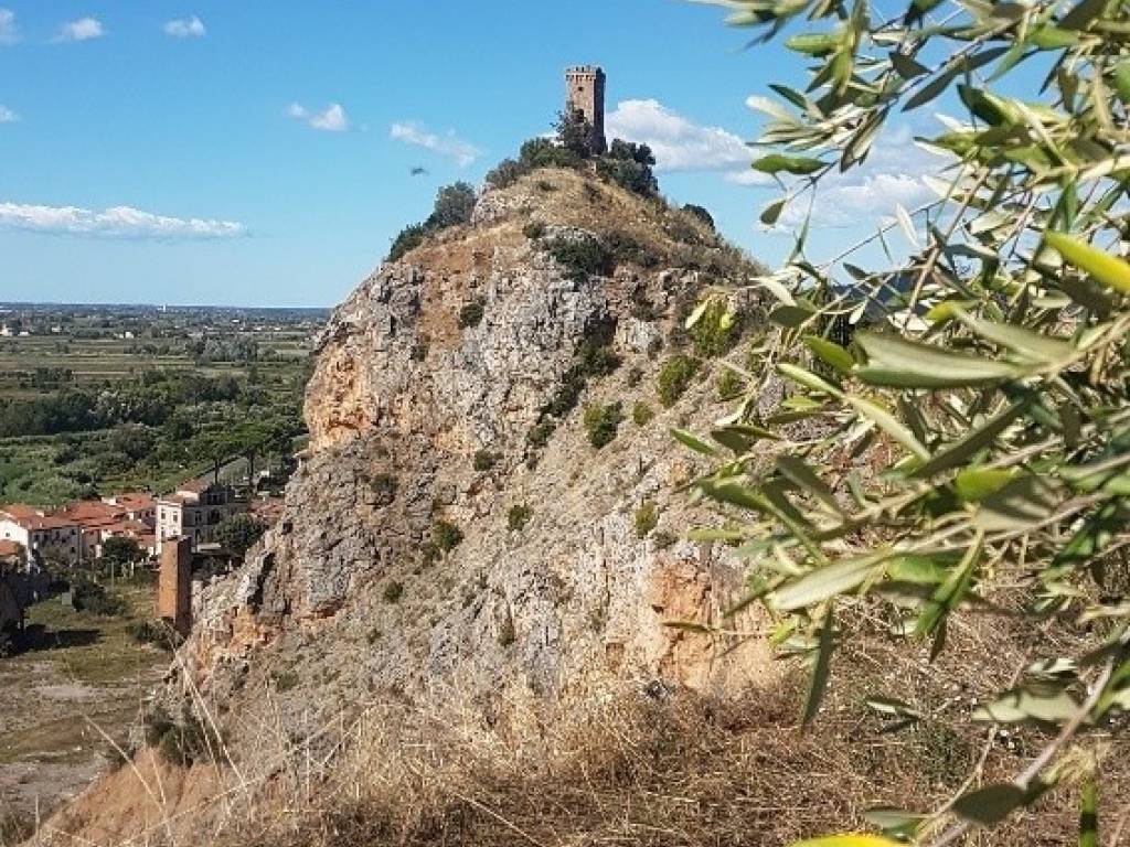 Appartamento a Vicopisano - Foto 5