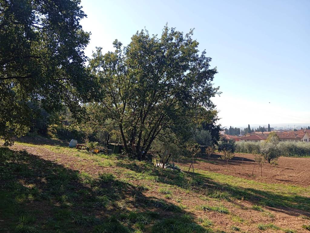 Terreno a Monsummano terme in Via della Grotta Giusti - Foto 3