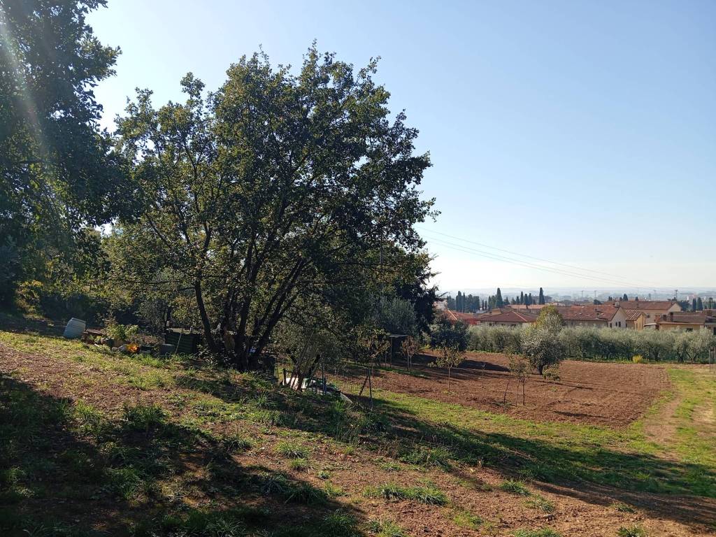 Terreno a Monsummano terme in Via della Grotta Giusti - Foto 4