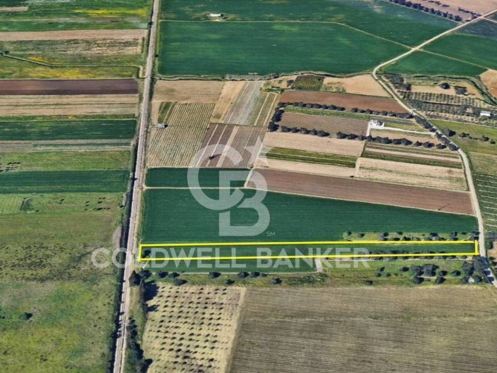 Terreno a Brindisi in Contrada Scalella - Foto 2