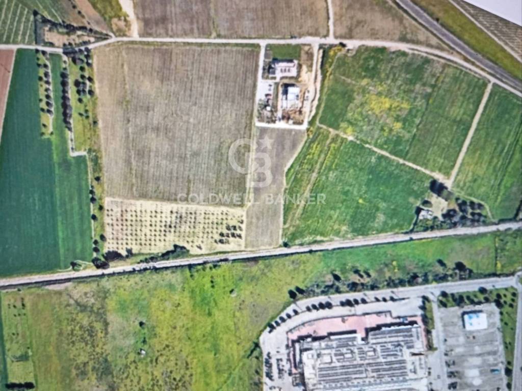 Terreno a Brindisi in Contrada Scalella - Foto 3