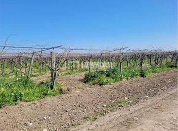 Terreno a Gerenzano - Foto 3