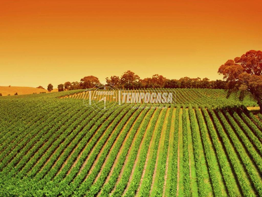 Terreno a Gerenzano - Foto 4