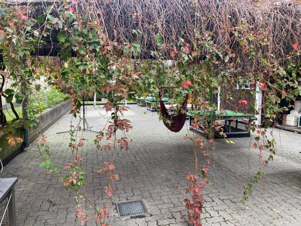 Appartamento a Ivrea - Foto 2