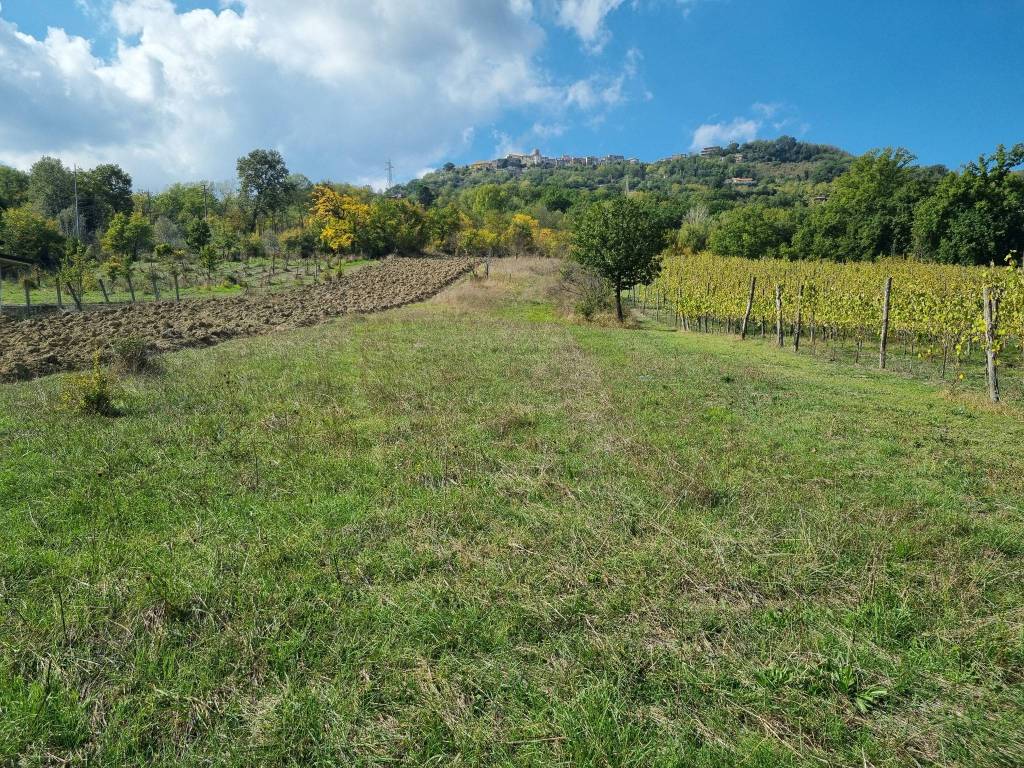 Terreno a Montefredane in Via Torre, 42 - Foto 5