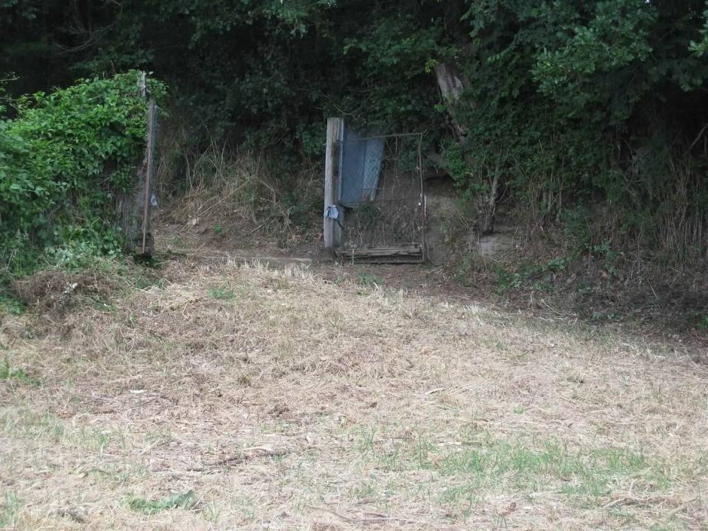 Terreno a Montefiascone - Foto 4