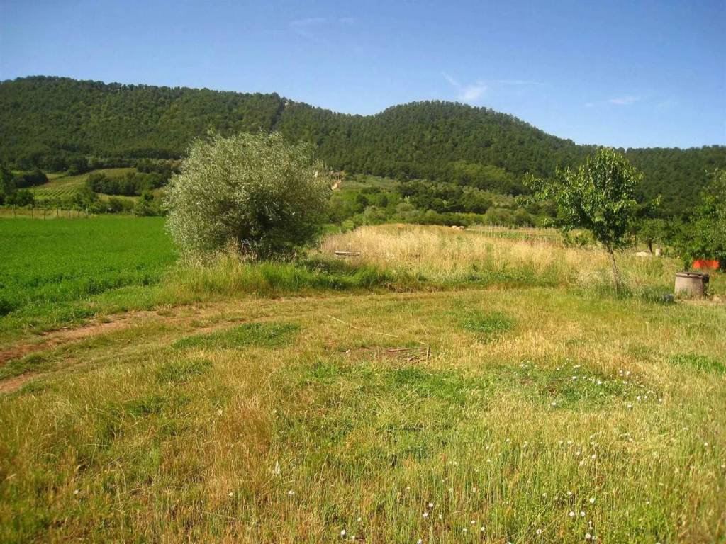 Terreno a Montefiascone - Foto 3