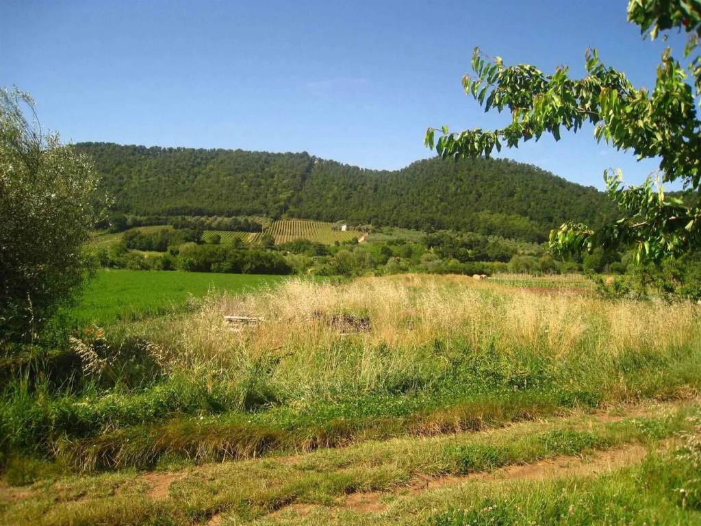 Terreno a Montefiascone - Foto 4