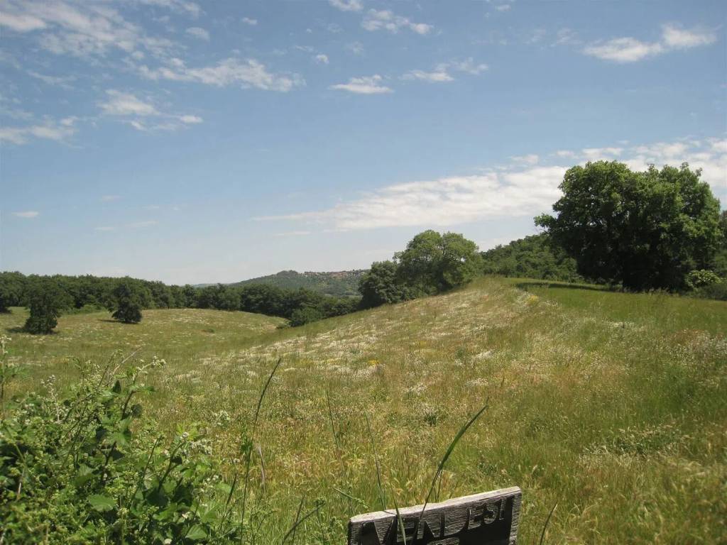 Terreno a Montefiascone - Foto 3