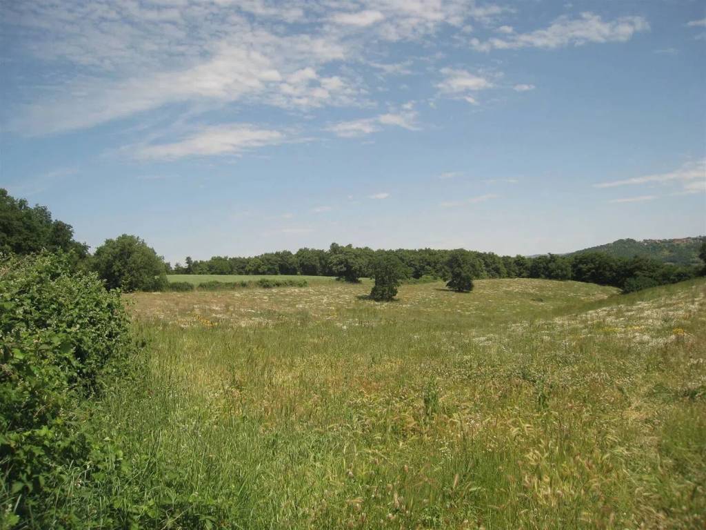 Terreno a Montefiascone - Foto 4