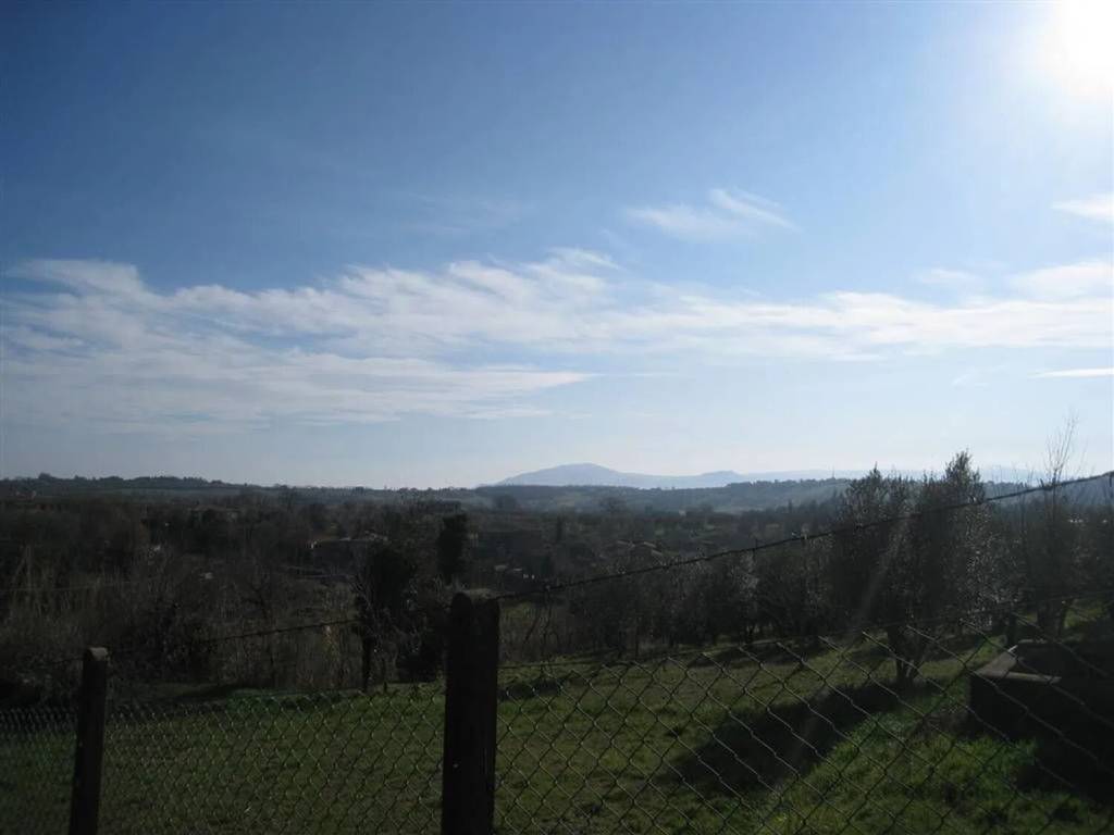 Terreno a Montefiascone - Foto 4