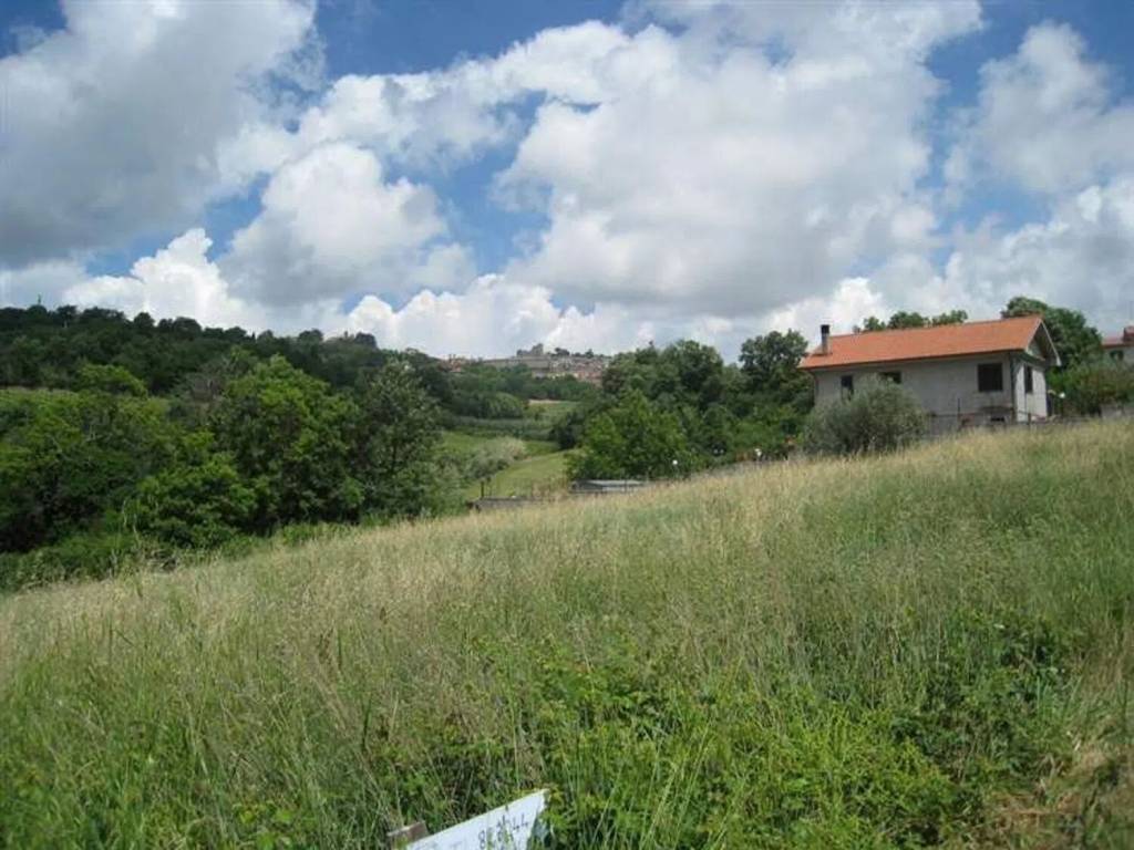 Terreno a Montefiascone - Foto 2