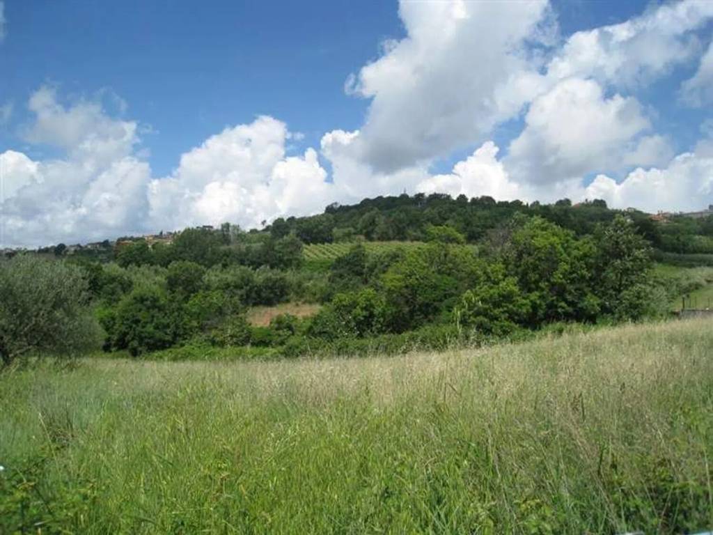 Terreno a Montefiascone - Foto 5