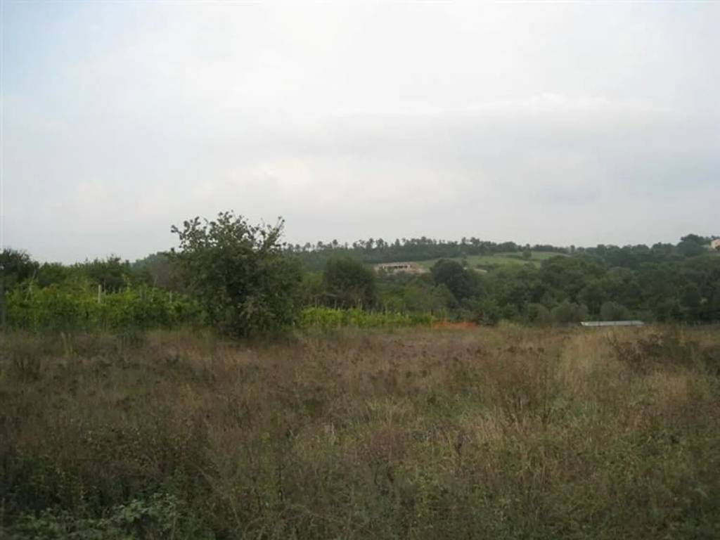 Terreno a Montefiascone - Foto 2