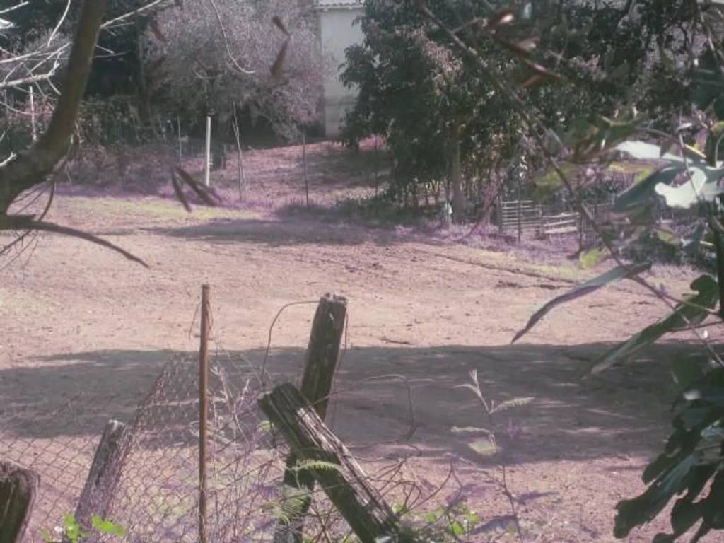 Terreno a Montefiascone - Foto 2