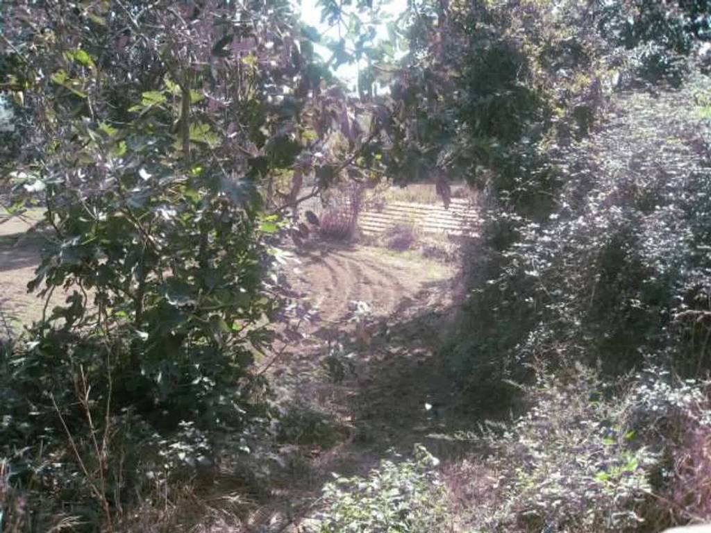 Terreno a Montefiascone - Foto 4