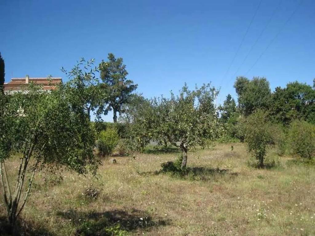 Terreno a Montefiascone - Foto 2