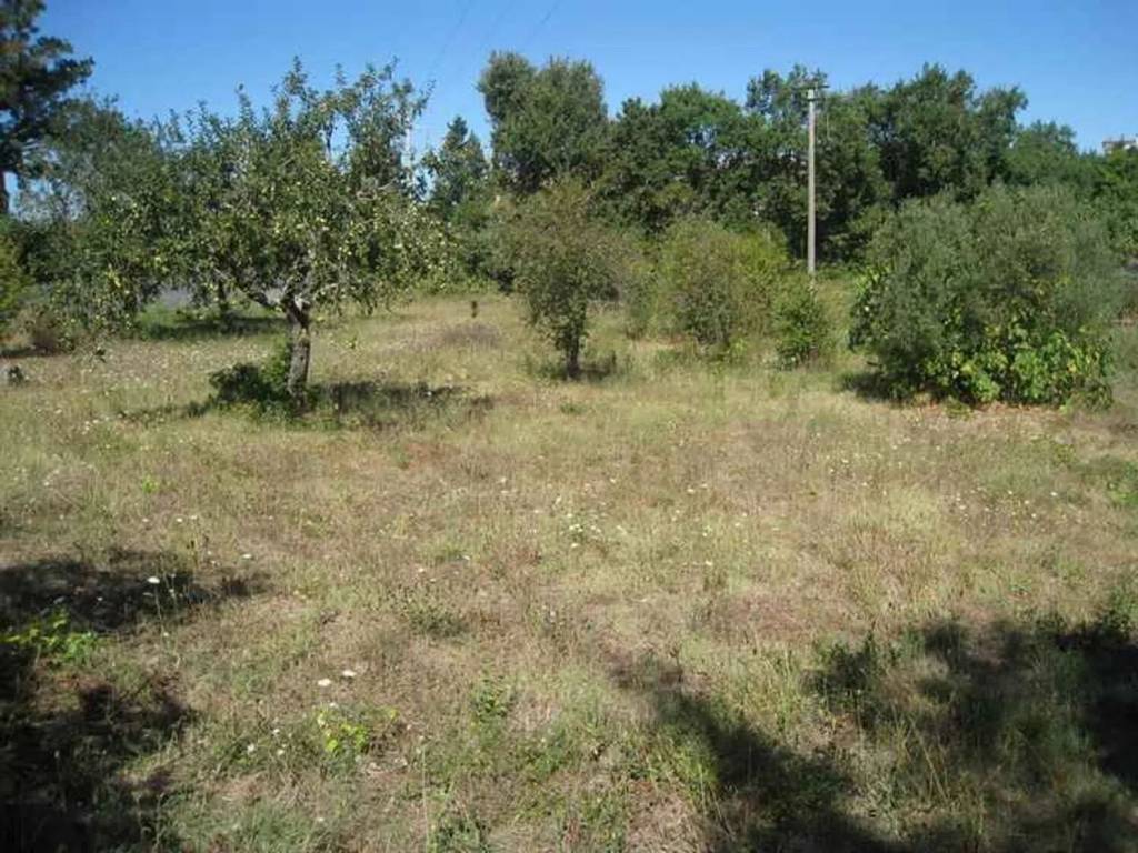 Terreno a Montefiascone - Foto 3