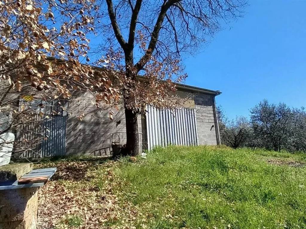 Immobile a Montefiascone - Foto 2