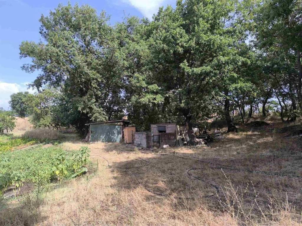 Immobile a Montefiascone - Foto 4