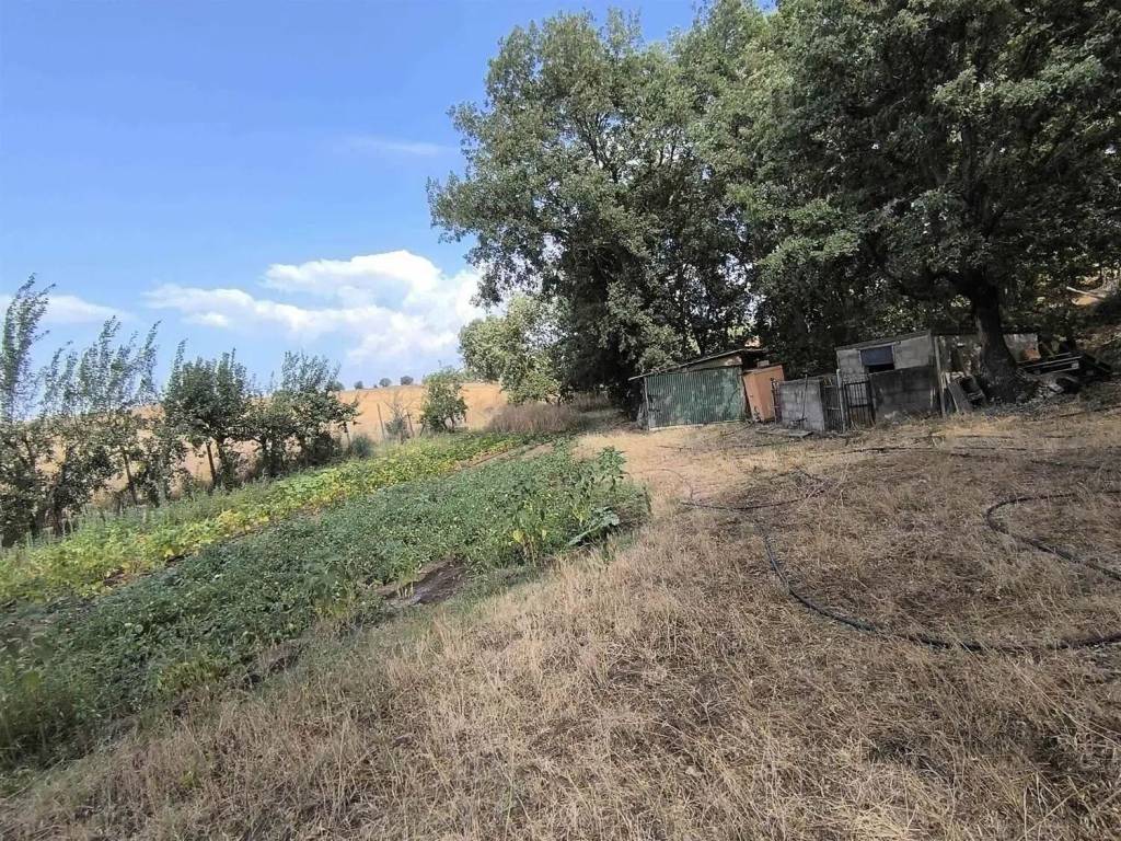 Immobile a Montefiascone - Foto 5