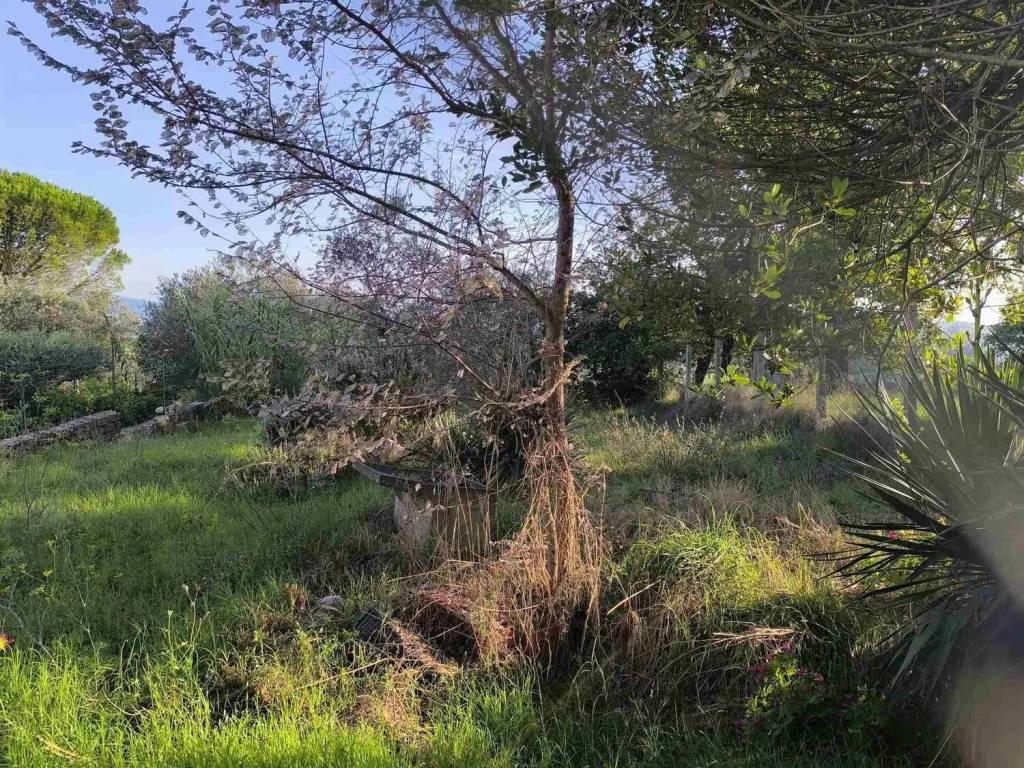 Villa a Montefiascone - Foto 2